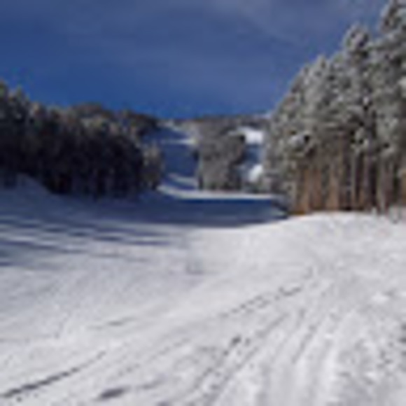 Meet your Posher, Jeremy - Picture 1 of 1